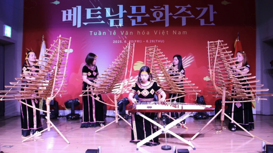 Vietnamese culture takes centre stage in Korean city
